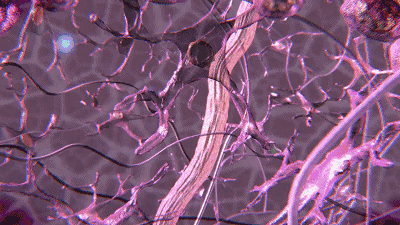 1660612812504089.gif 微信图片_20220816094124.gif