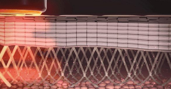 1661908260594486.gif 微信图片_20220831093254.gif