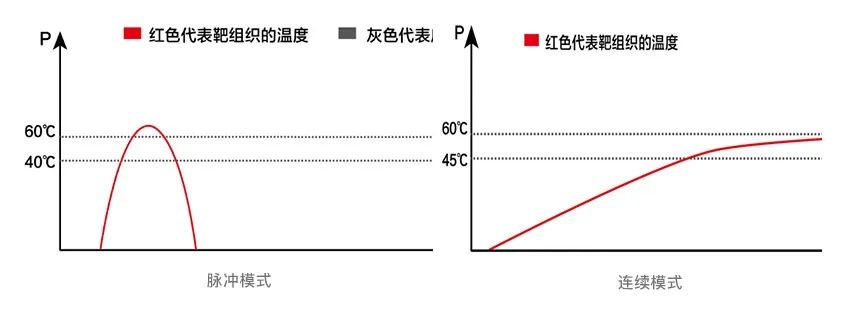 1730078447799885.jpg